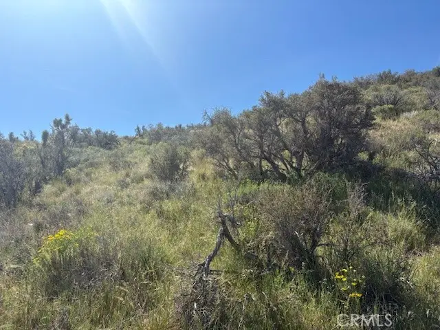 0 None, Pinon Hills, CA 92372 - #2