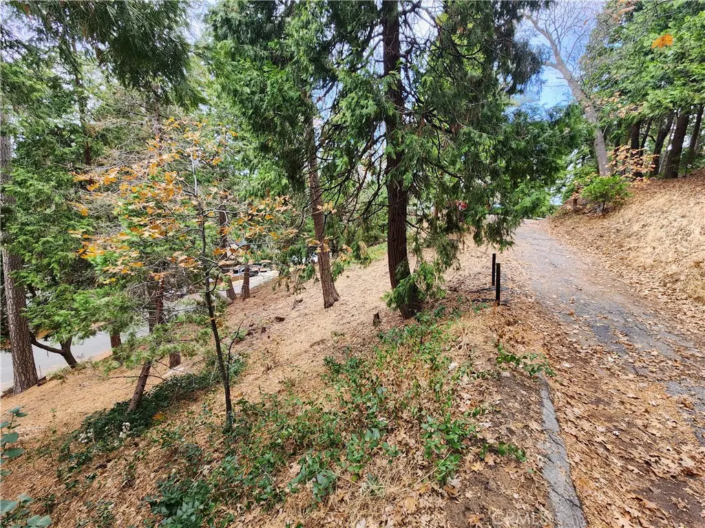 24397 Horst Drive, Crestline, CA 92325 - #1