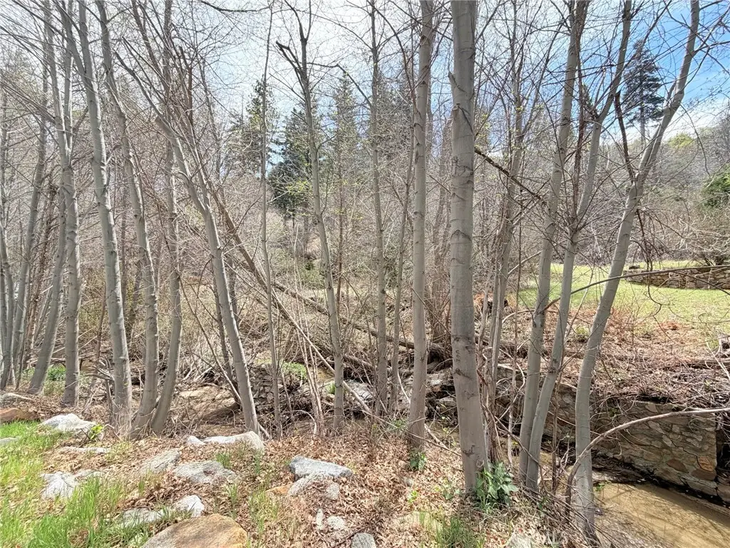 29949 Hook Creek, Cedar Glen, CA 92321 - #1