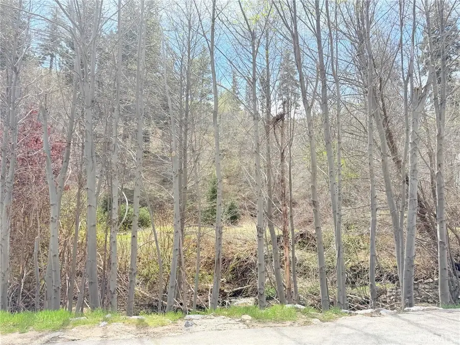 29949 Hook Creek, Cedar Glen, CA 92321 - #3