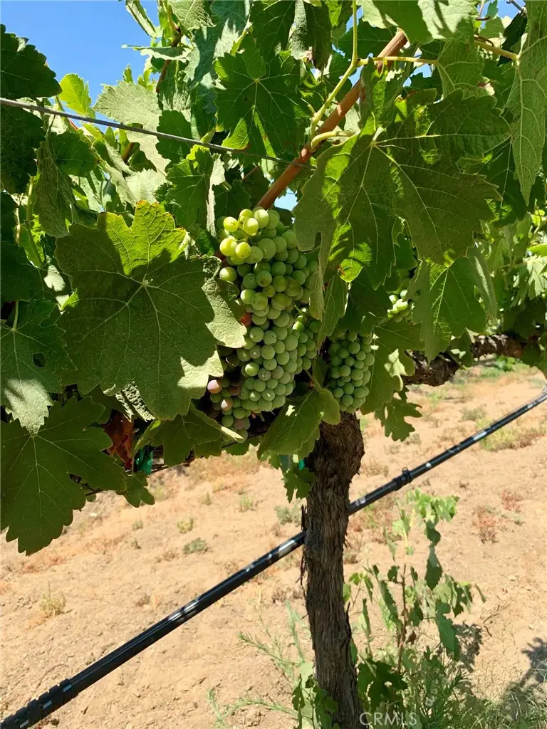 6 Berenda Road, Temecula, CA 92592 - #2