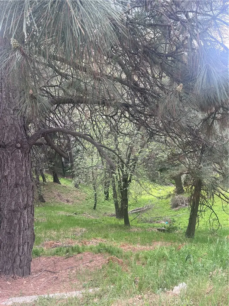 0 Jewel, Crestline, CA 92325 - #1