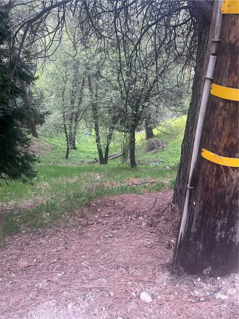 0 Jewel, Crestline, CA 92325 - #2