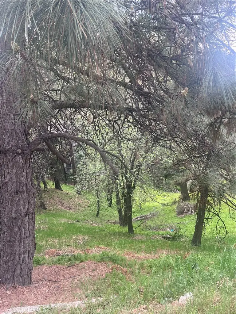 0 Jewel, Crestline, CA 92325 - #3