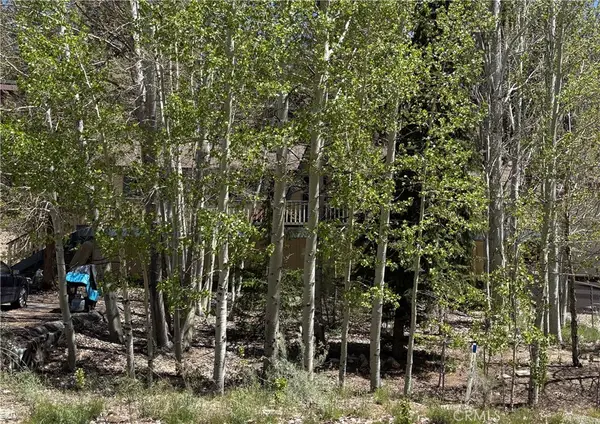 1060 Eagle Mountain Dr., Big Bear City, CA 92314