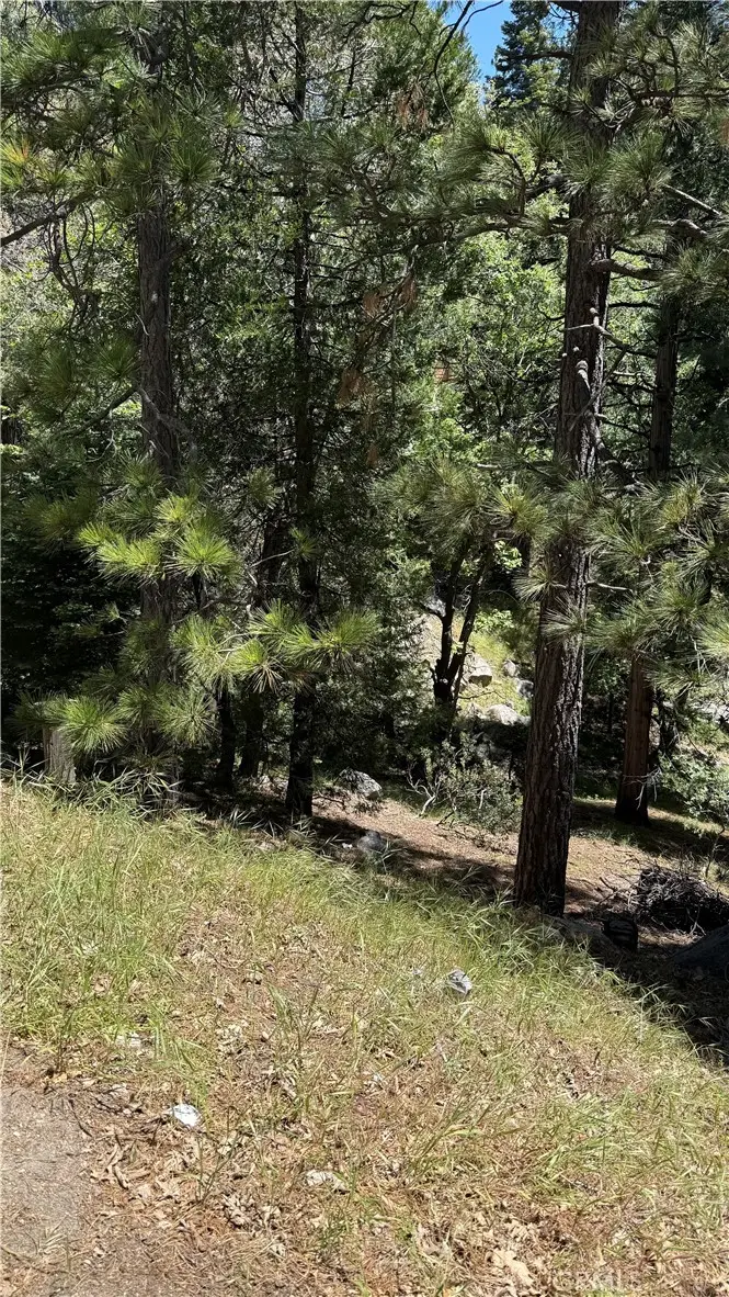 0 Thunderbird, Lake Arrowhead, CA 92352 - #3