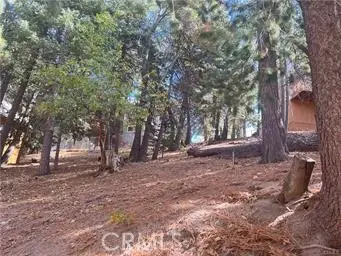 0 Encina, Running Springs, CA 92382