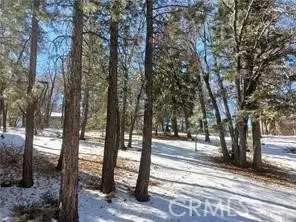0 Columbine, Big Bear City, CA 92314