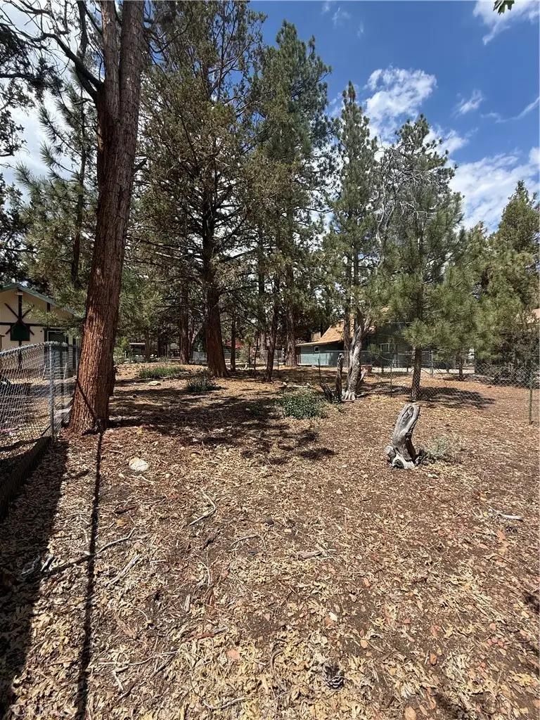 569 Victoria Lane, Sugarloaf, CA 92386 - #2