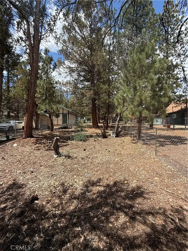569 Victoria Lane, Sugarloaf, CA 92386 - #3