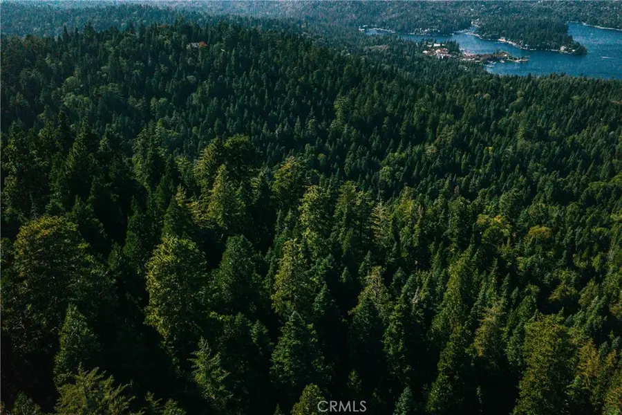 0 Cumberland, Lake Arrowhead, CA 92385 - #3