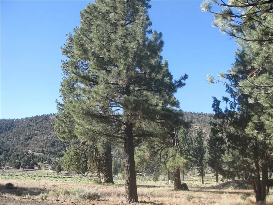 2824 Erwin Ranch Road, Big Bear City, CA 92314 - Image #2