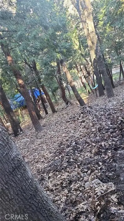#2