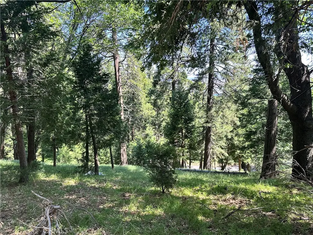 0 Bone Drive, Cedarpines Park, CA 92322 - #1