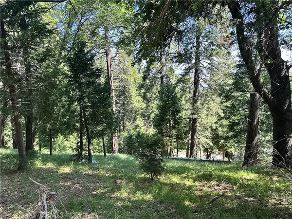 0 Bone Drive, Cedarpines Park, CA 92322