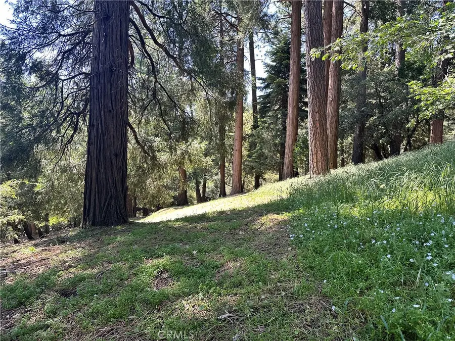 0 Bone Drive, Cedarpines Park, CA 92322 - #2