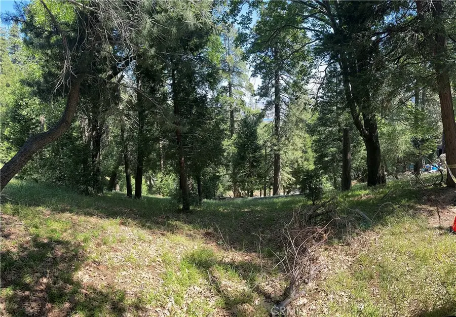 0 Bone Drive, Cedarpines Park, CA 92322 - #3
