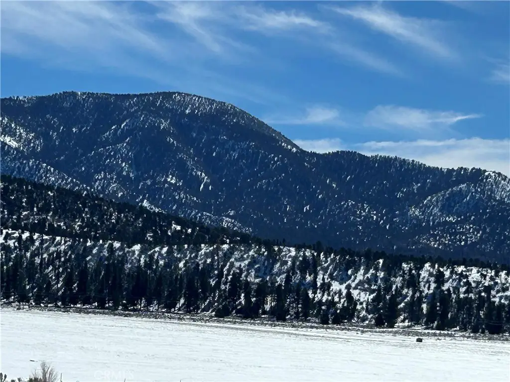 45935 Parkway, Big Bear City, CA 92314 - #1