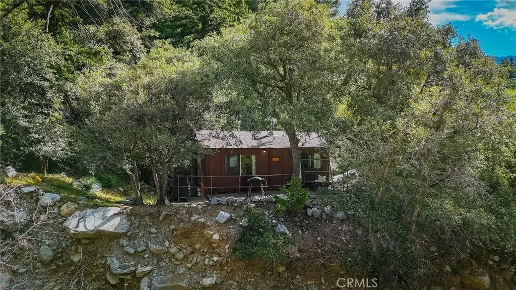 73 Upper San Antonio, Mount Baldy, CA 91759 - #1