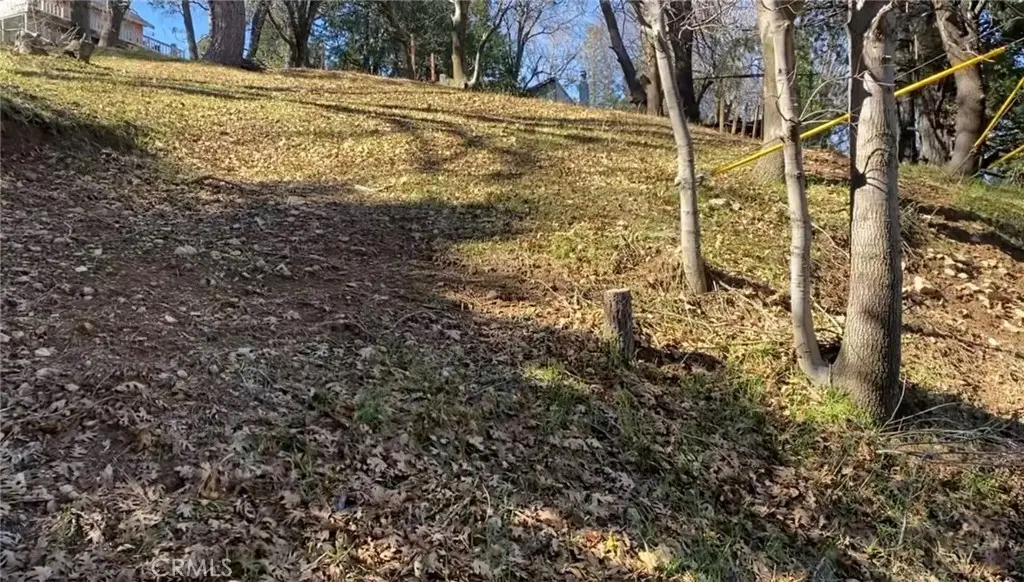 547 Arbula Drive, Crestline, CA 92325 - #1