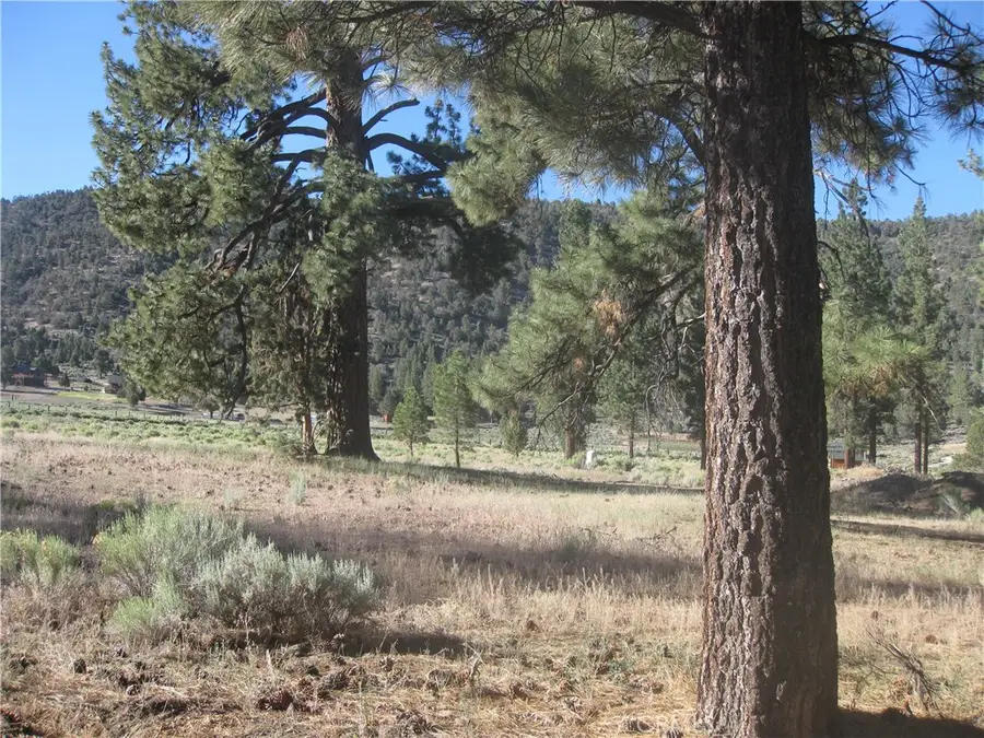 2824 Erwin Ranch Road, Big Bear City, CA 92314 - #2