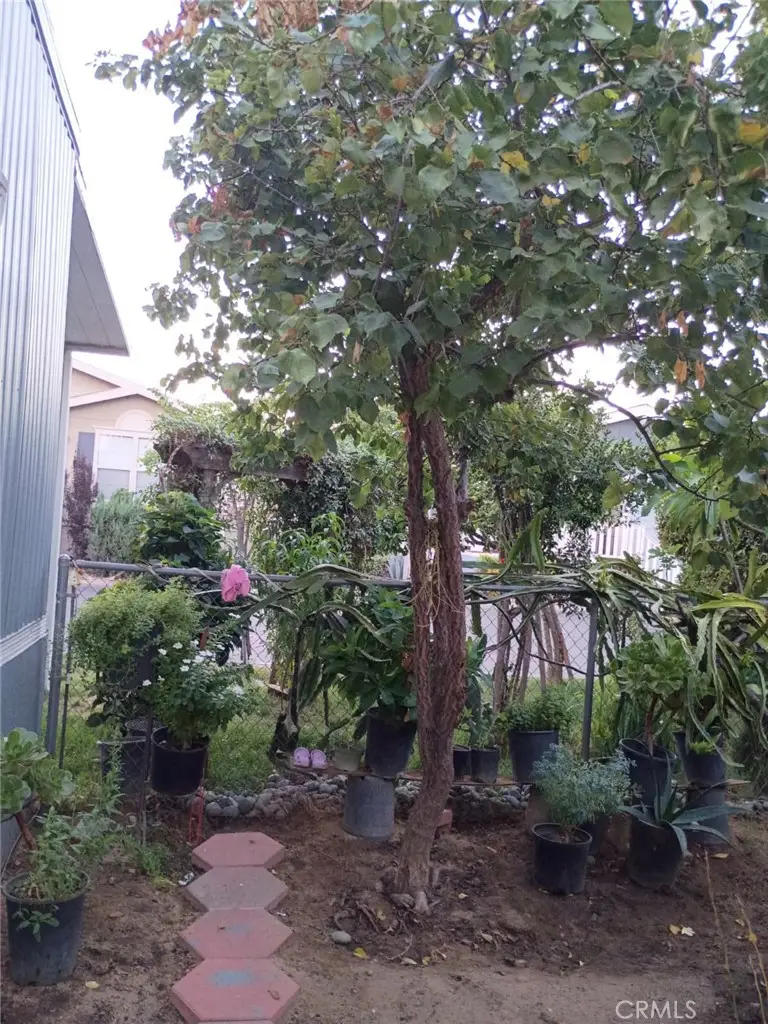 26245 Baseline #41, Highland, CA 92346 - #2