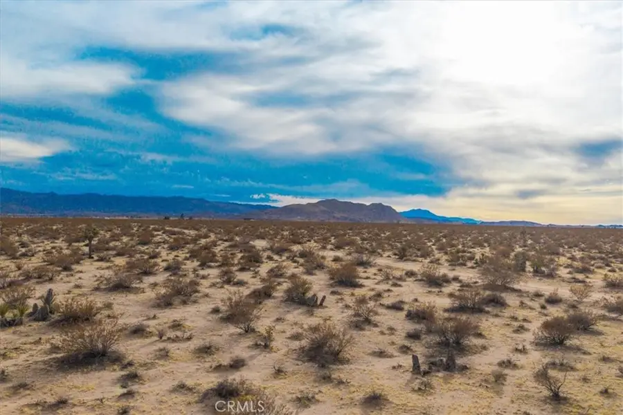 62155 Moonlight Mesa Street, Joshua Tree, CA 92252 - Image #3