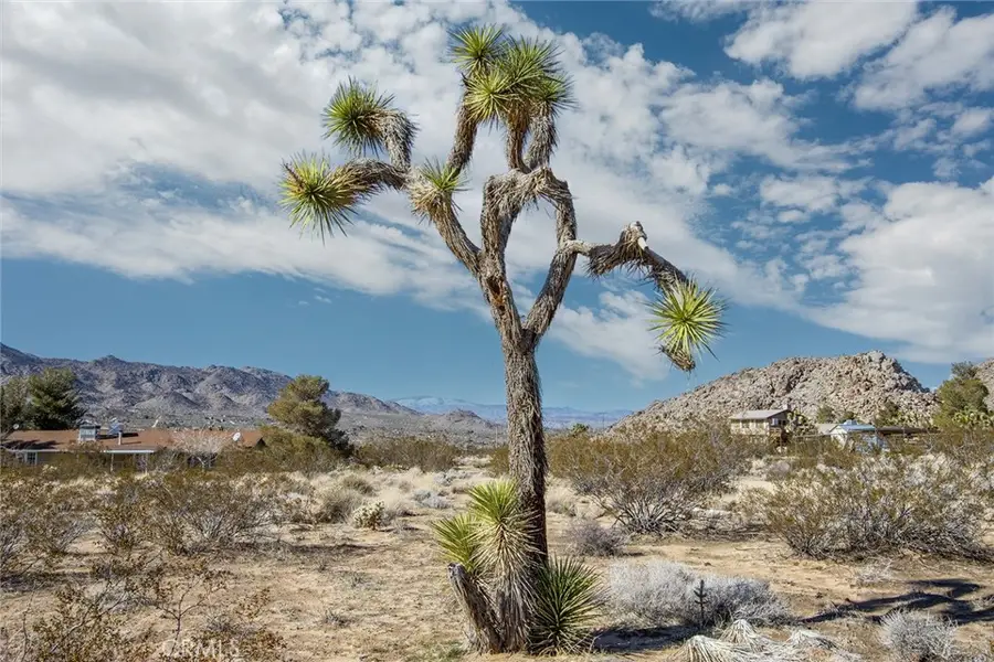 8776 Uphill Road, Joshua Tree, CA 92252 - Image #3
