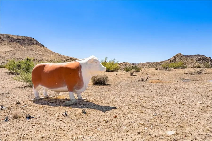 54559 Saratoga Road, Pioneertown, CA 92268 - #3