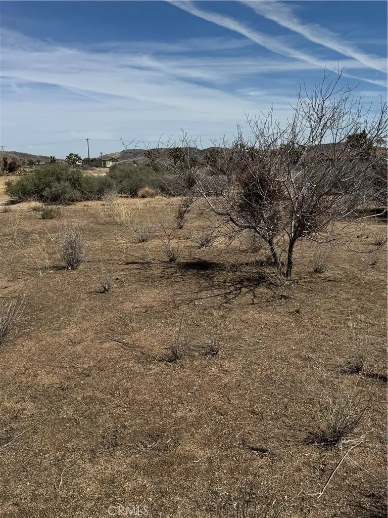 0 Minna Gombell, Pioneertown, CA 92268 - #2