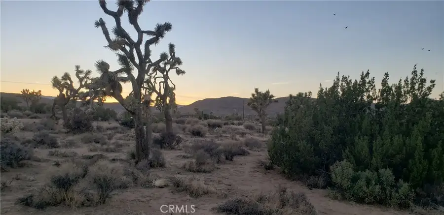 1234 Canton Street, Yucca Valley, CA 92284 - Image #3