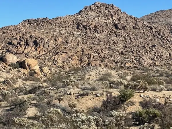 7085 Alturas Drive, Joshua Tree, CA 92252