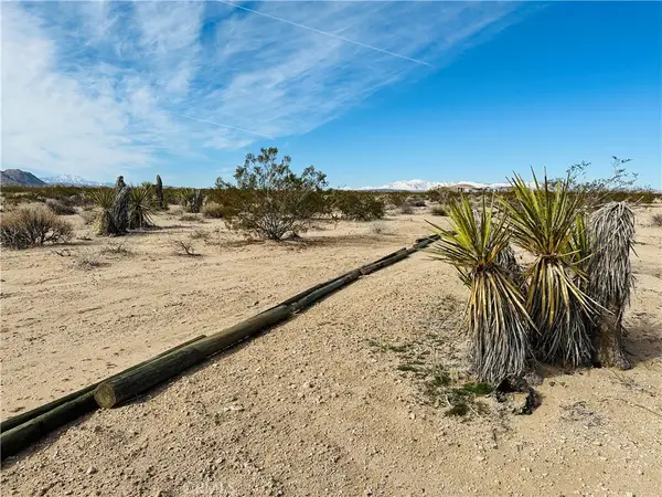 1234 Desert Lily, Joshua Tree, CA 92252