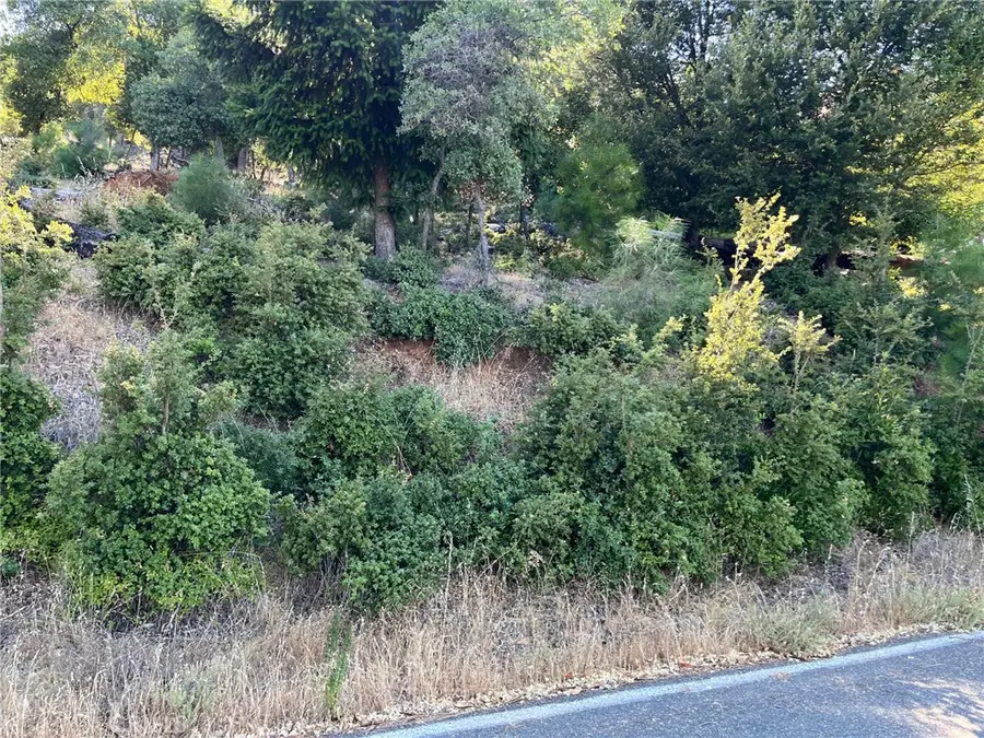 3607 Pine Terrace Drive, Kelseyville, CA 95451 - Image #3