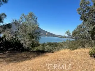 #3