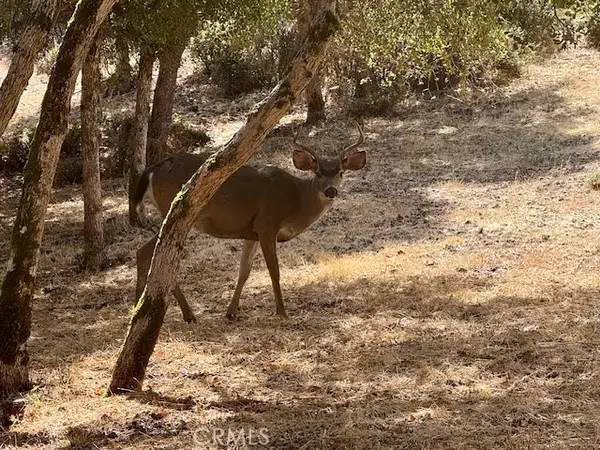 10789 Harbor Road, Kelseyville, CA 95451