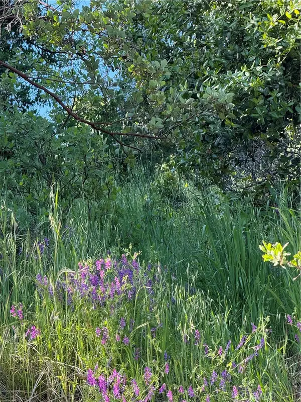 6705 Floyd Way, Nice, CA 95464