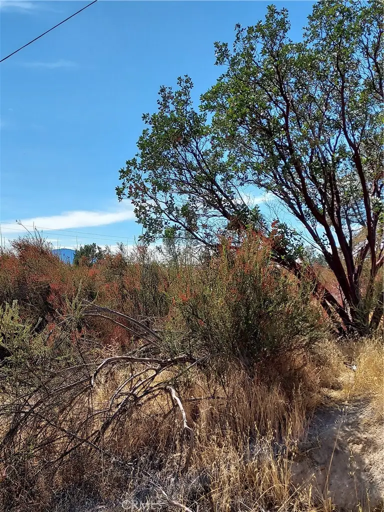 16301 11th Avenue, Clearlake, CA 95422 - #1
