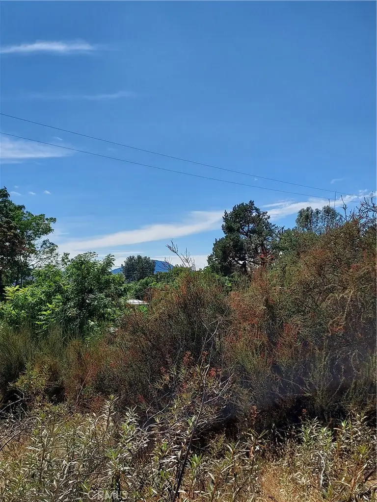 16301 11th Avenue, Clearlake, CA 95422 - #2