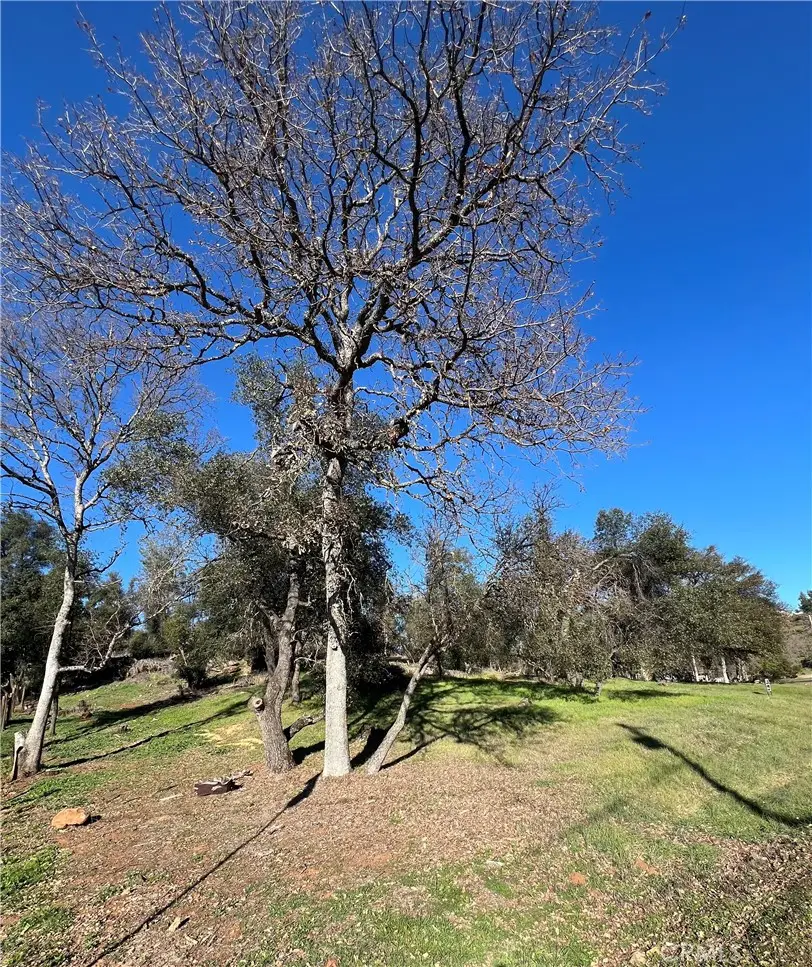 20393 Powder Horn Road, Hidden Valley Lake, CA 95467 - #1