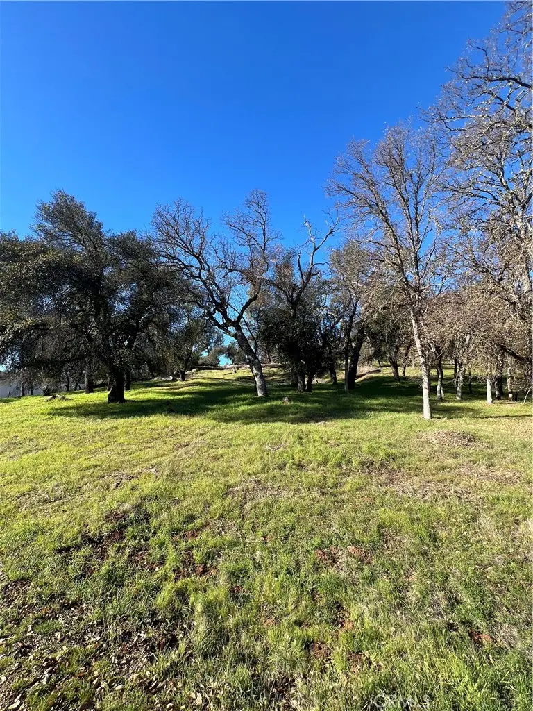 20393 Powder Horn Road, Hidden Valley Lake, CA 95467 - #2