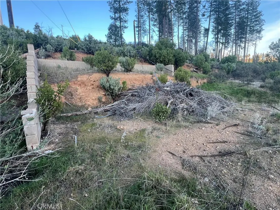 16789 Starview Loop, Cobb, CA 95426 - #3