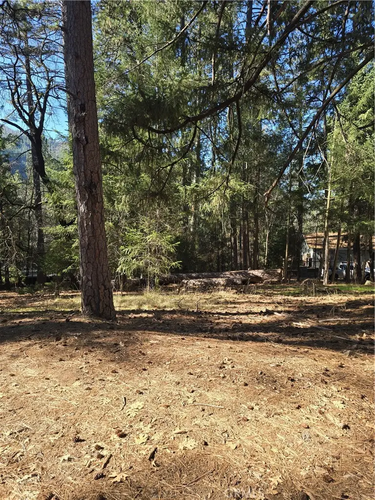 16303 Niblick, Cobb, CA 95426 - #3