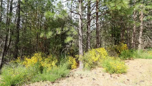 9072 Fox Drive, Cobb, CA 95426