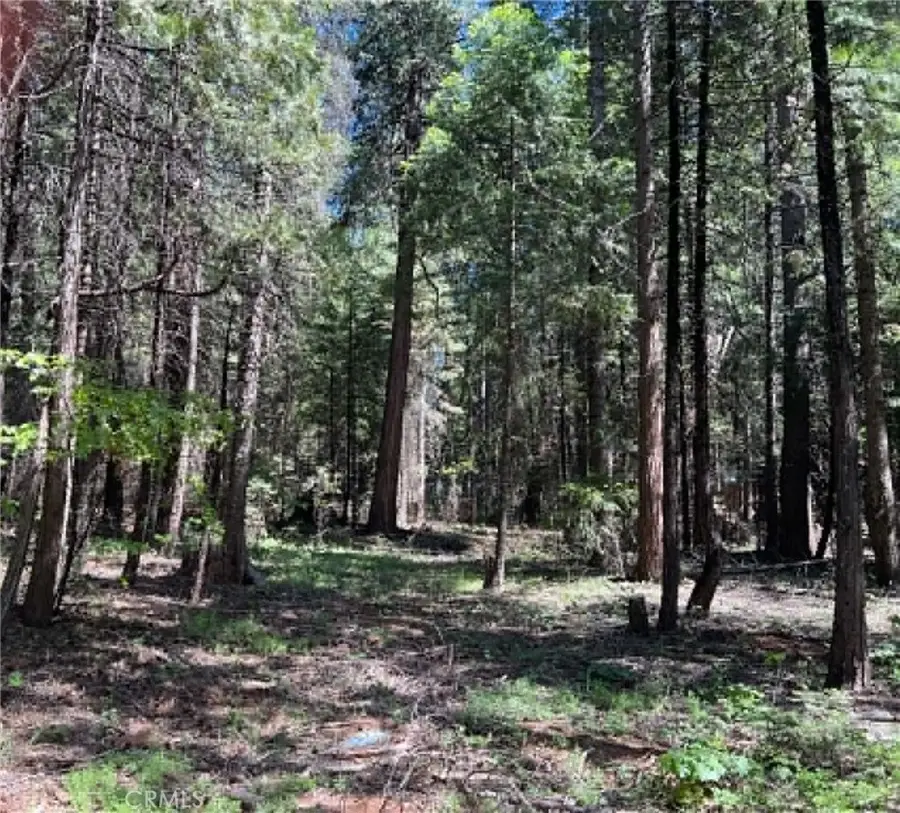 0 Eastwood Way, Shingletown, CA 96088 - #2