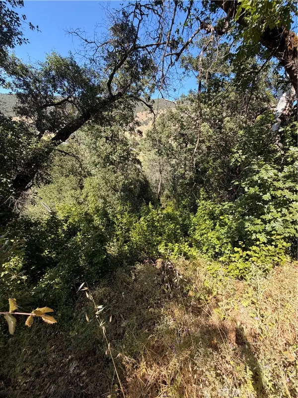 3403 Knob, Nice, CA 95464