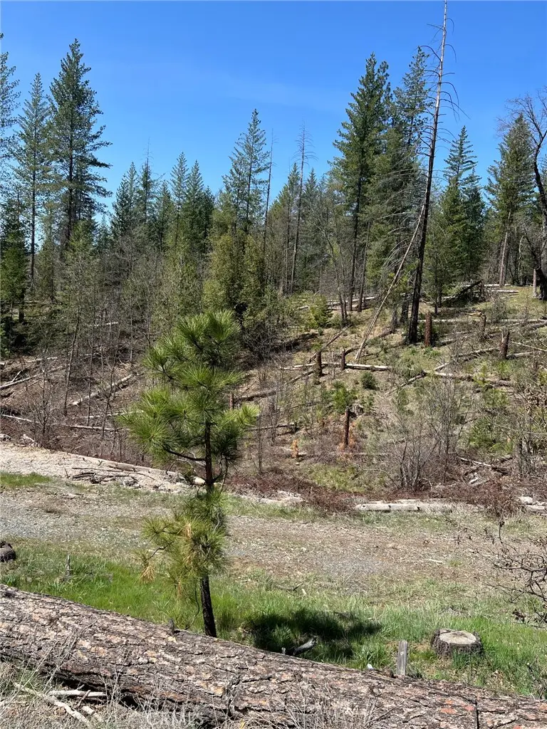 6493 Greeley Hill Road, Coulterville, CA 95311 - #2