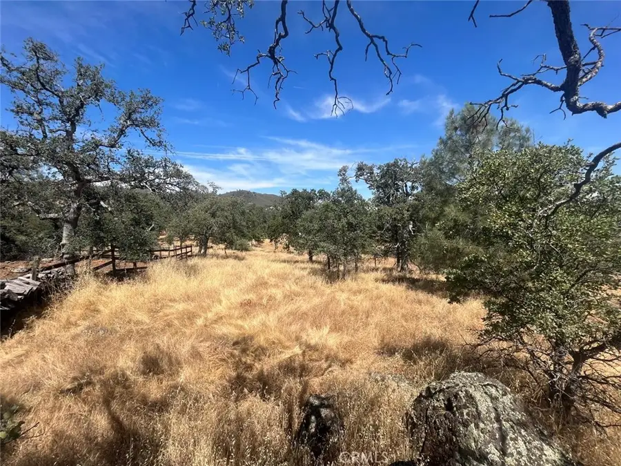 3301 Clavel Way, Coulterville, CA 95311 - #3