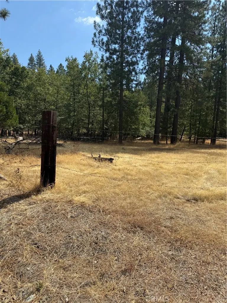 6479 Pine Drive, Coulterville, CA 95311 - #2