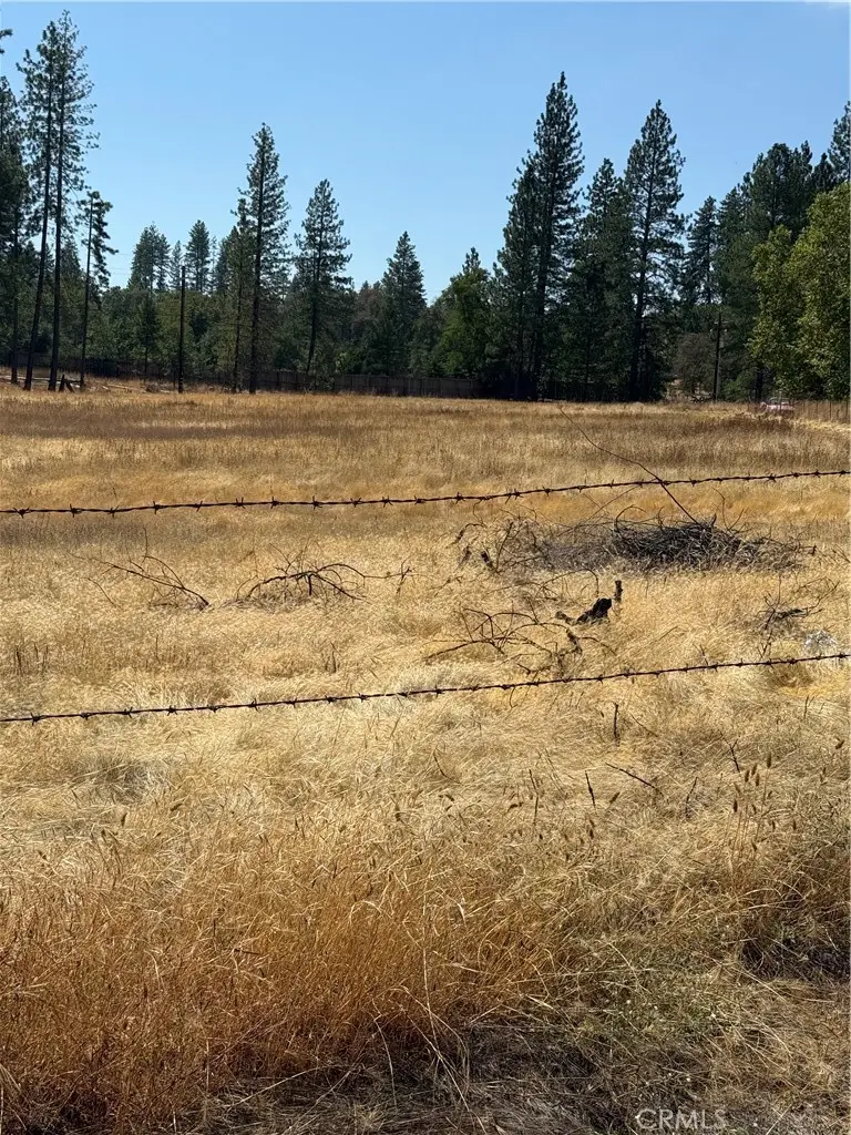 6479 Pine Drive, Coulterville, CA 95311 - #3